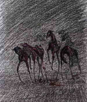 Help pake en beppe de vakantie door