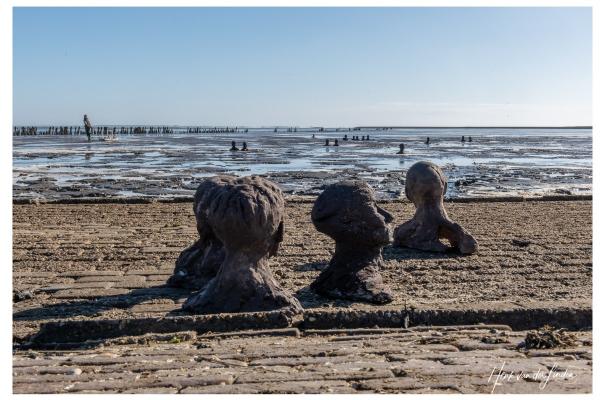 Wisselexpositie De Achterblijvers