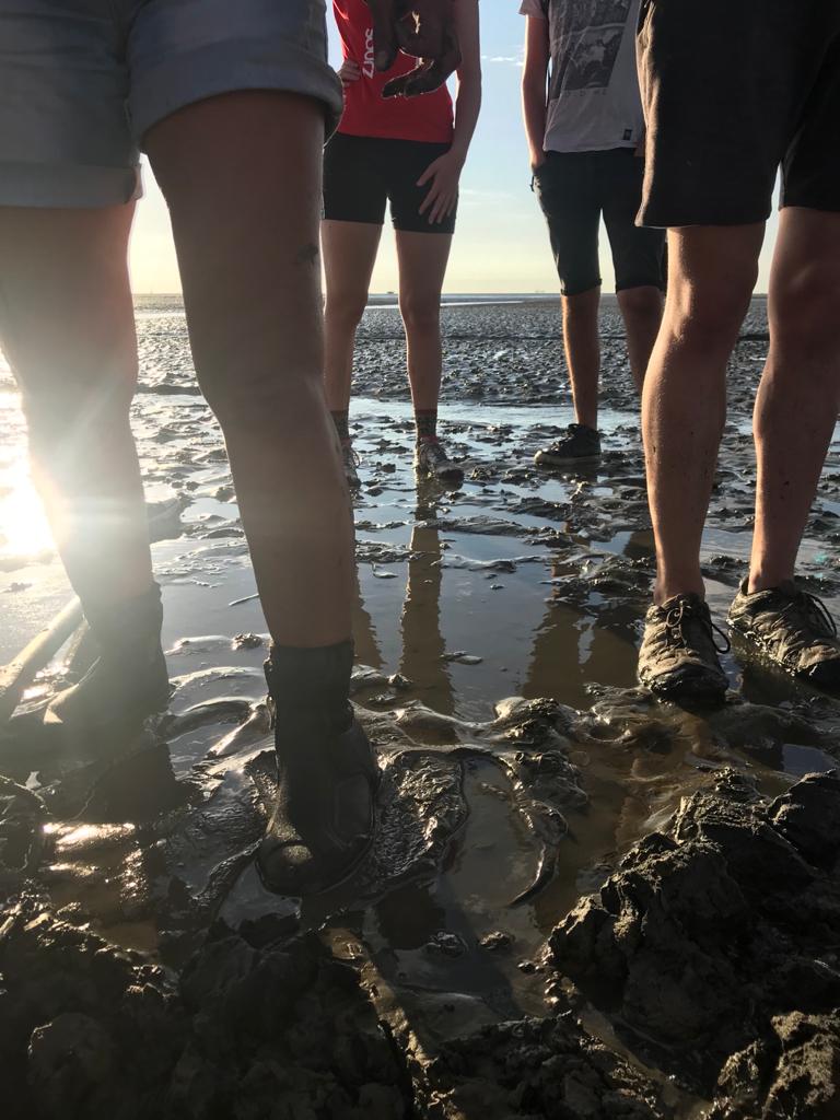 Wadlopen | Museum 't Fiskershúske